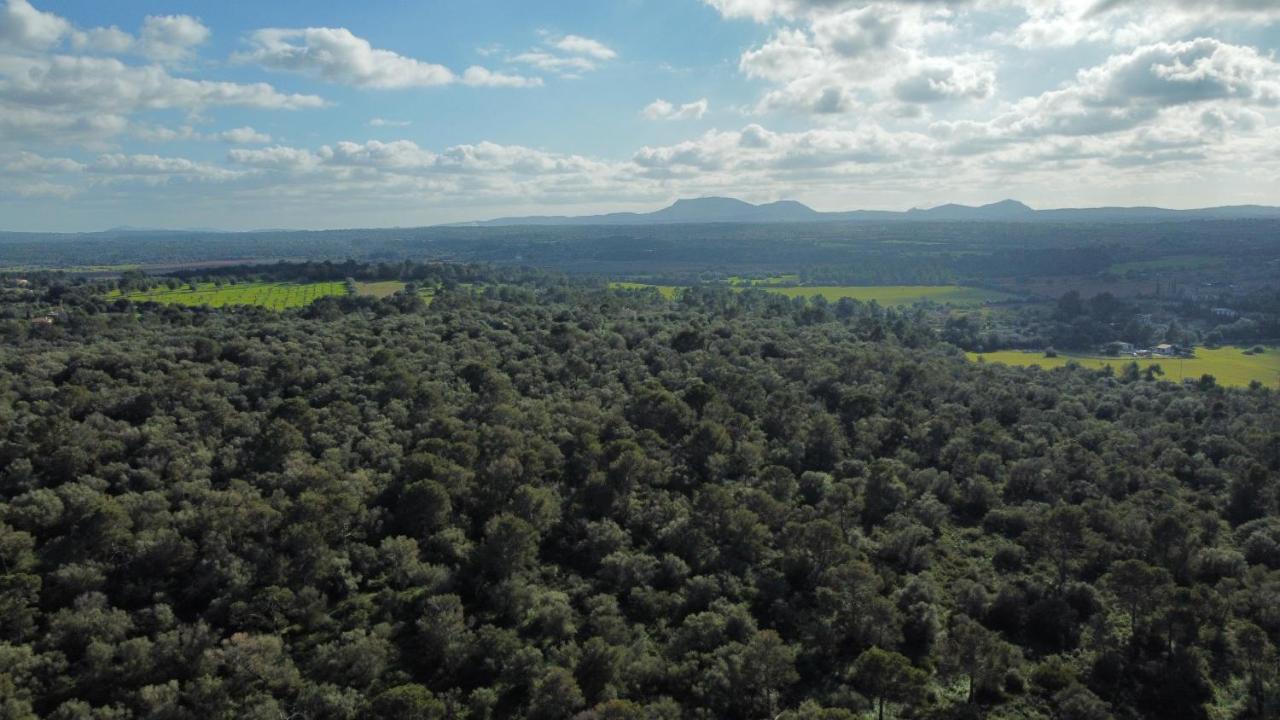 Magnifica Villa tranquila en el centro de Mallorca Biniali  Esterno foto
